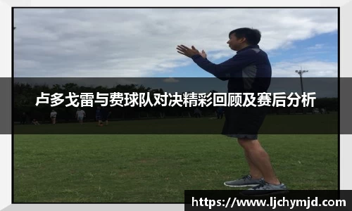 卢多戈雷与费球队对决精彩回顾及赛后分析